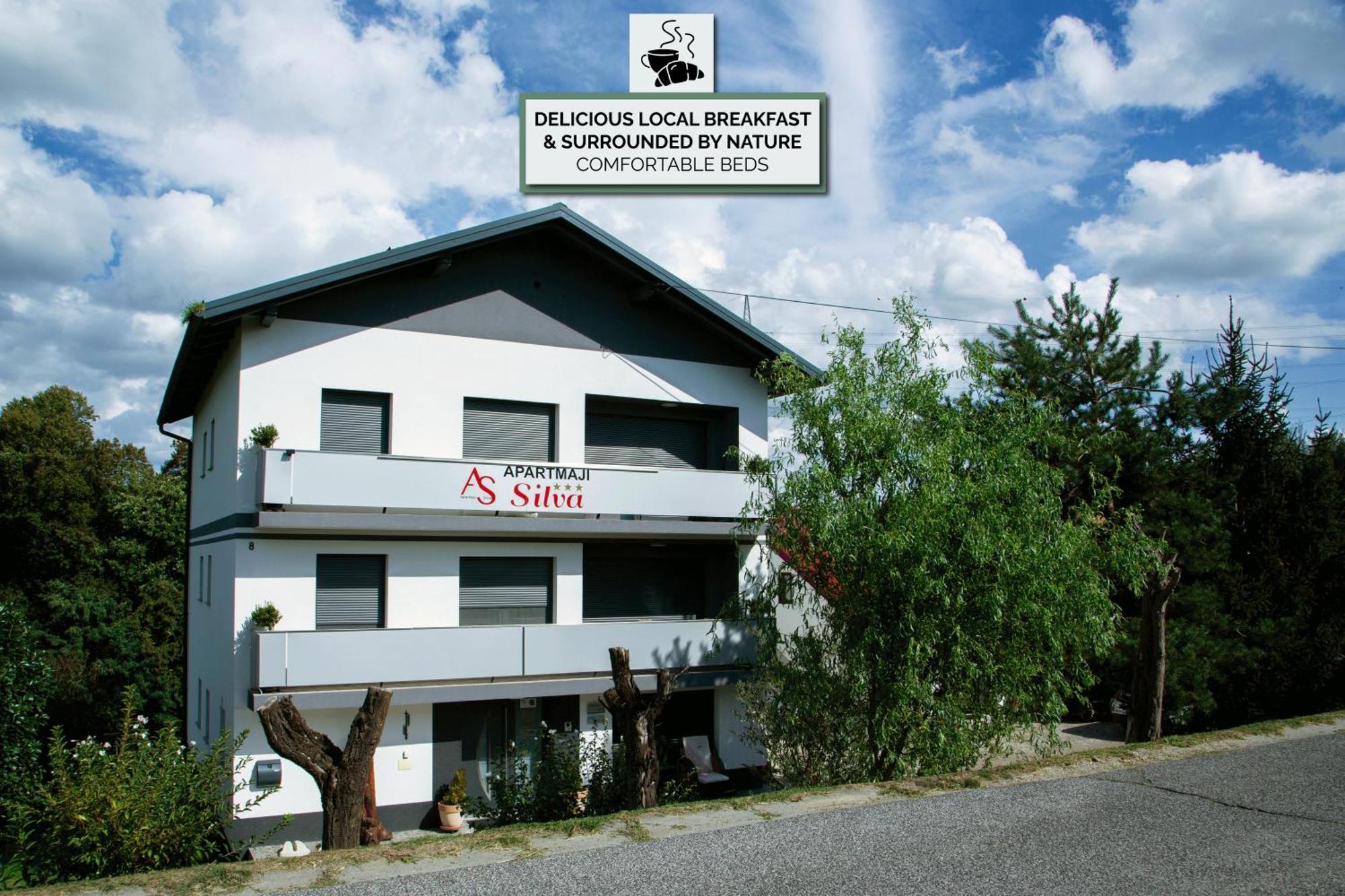 Apartments Silva Ljutomer Exterior foto